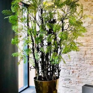 Jasmijnbloembinders - Zijden blad boom Silkka
