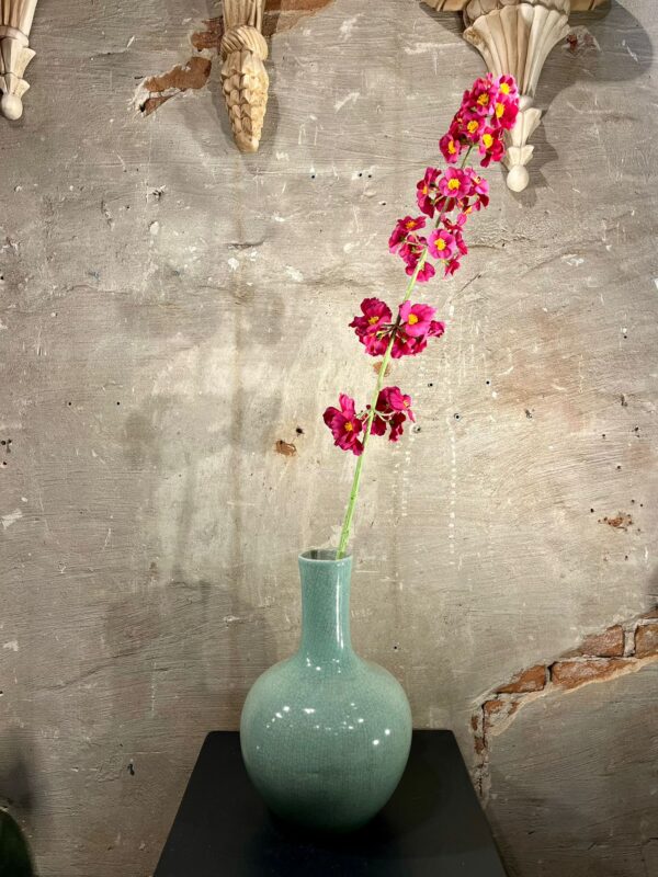 Zijden Primula Steel beauty