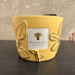 Baobab Folia Garrigue Max 10