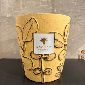 Baobab Folia Garrigue Max 16