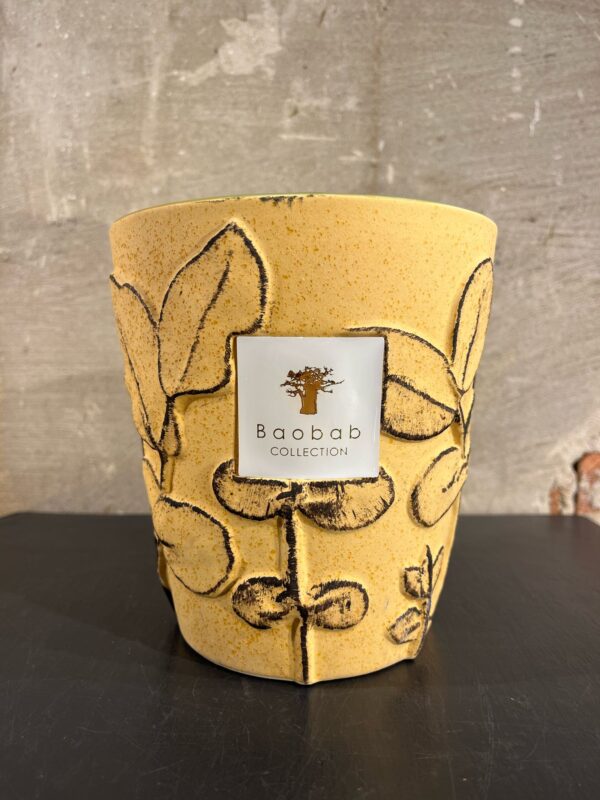 Baobab Folia Garrigue Max 16