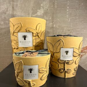 Baobab Folia Garrigue set van 3