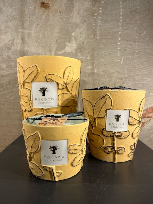 Baobab Folia Garrigue set van 3