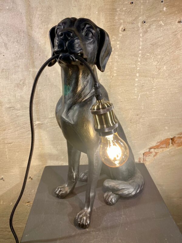 Labrador lamp