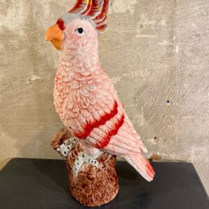 Papegaai decoratie roze rood