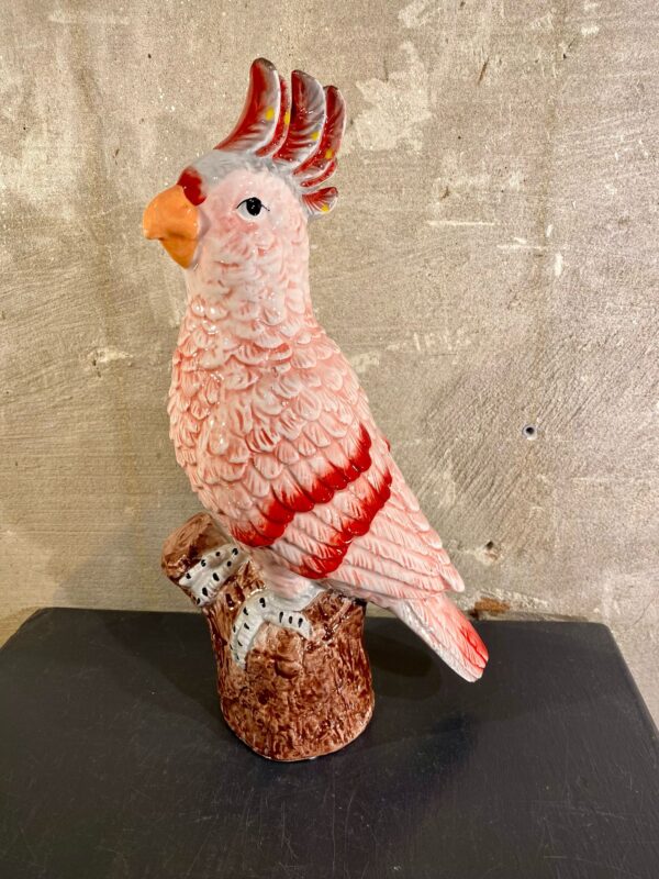 Papegaai decoratie roze rood