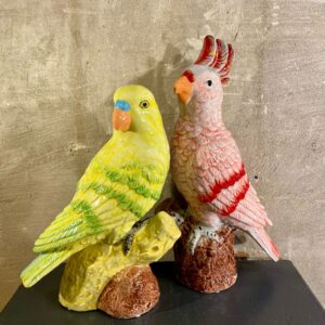 Set papagaai decoratie kleur geel roze rood