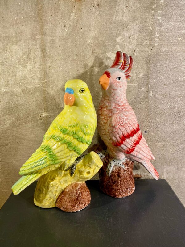Set papagaai decoratie kleur geel roze rood