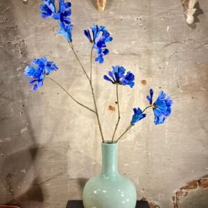 Zijden mandevilla blauw