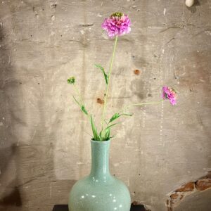 Zijden scabiosa roze