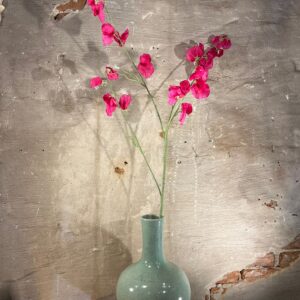 Zijden Lathyrus Beauty