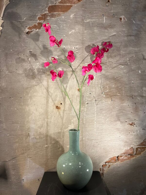 Zijden Lathyrus Beauty