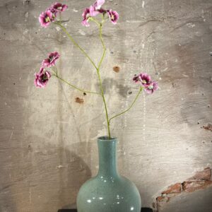 Zijden Leucocoryne Paars Roze