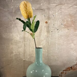 Zijden Banksia
