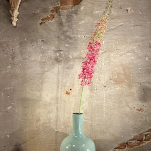 Zijden Eremurus roze