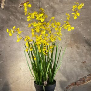 Zijden Orchidee plant geel