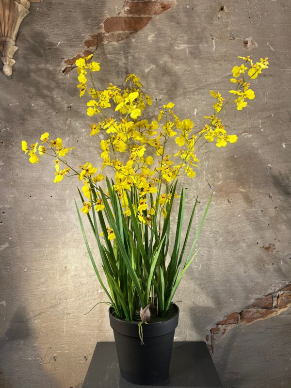 Zijden Orchidee plant geel