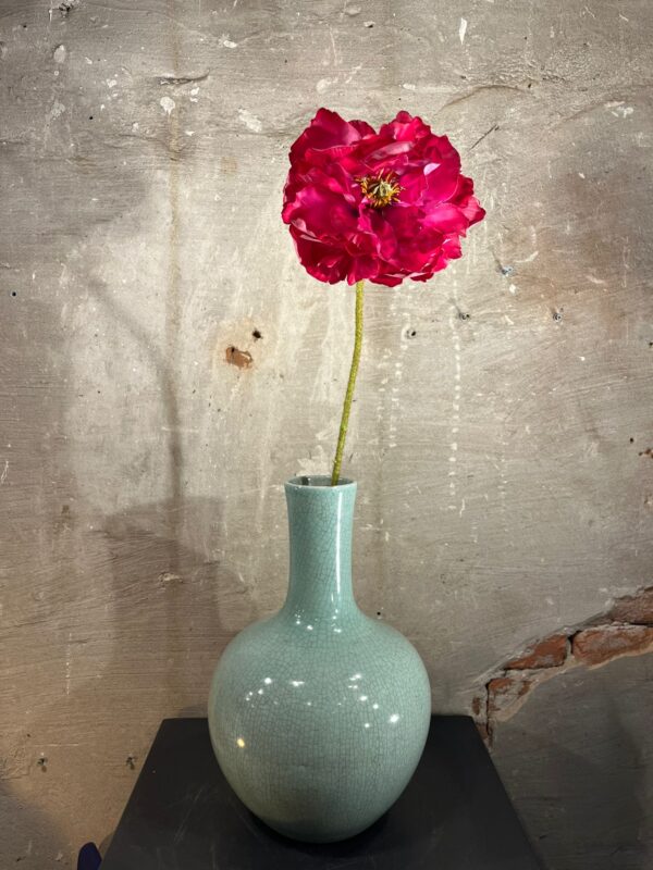 Zijden papaver beauty