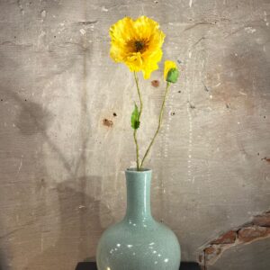 Zijden papaver geel