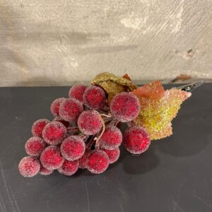 Kerst duiventros rood