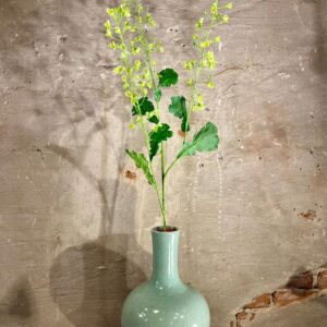 Zijden Primula Tak Groen