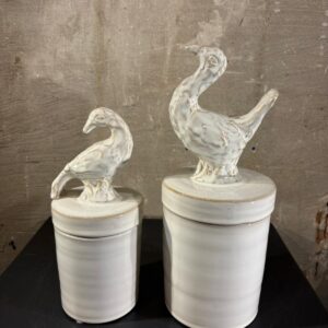 Set voorraad potten met vogel