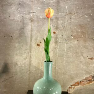 Zijden Pioen tulp perzik met groen