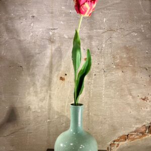 Zijden Pioen tulp roze met geel