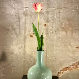 Zijden Pioen tulp roze met geel