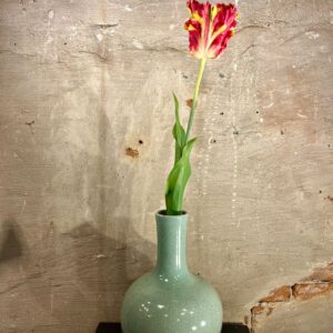 Zijden papegaai tulp fuchsia met geel