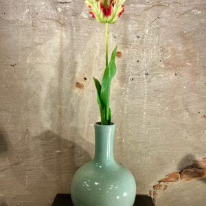 Zijden papegaai tulp groen met rood