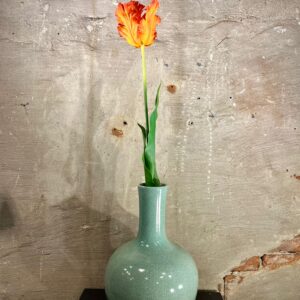 Zijden papegaai tulp oranje