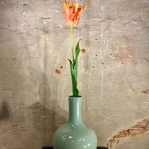 Zijden papegaai tulp perzik