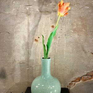 Zijden papegaai tulp perzik