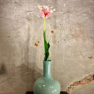 Zijden papegaai tulp roze met wit