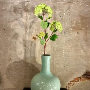 Zijden sneeuwbal tak Groen