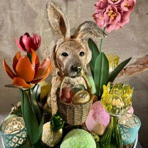 Easter platter hond