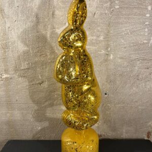 Haas met verlichting geel