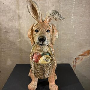 Paas golden retriever