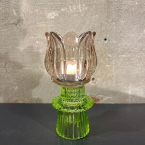 Tulp waxine champagne