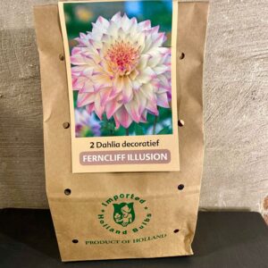 Dahlia knollen kleur licht roze