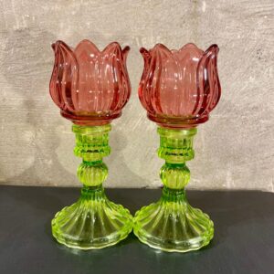 Set tulpen waxines set van 2 kleur rood