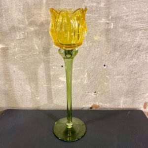 Tulpen waxine kleur geel