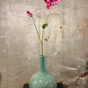 Zijden klaproos beauty