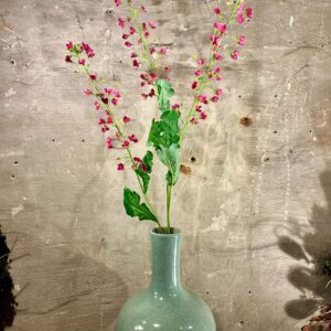 Zijden primula beauty