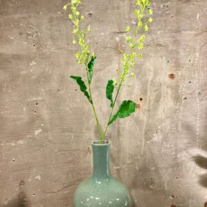 Zijden primula groen