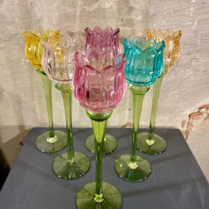 set tulpen waxines set van 6 mix kleuren