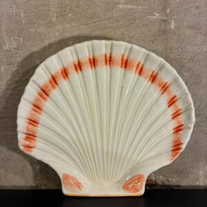 Coquille bord