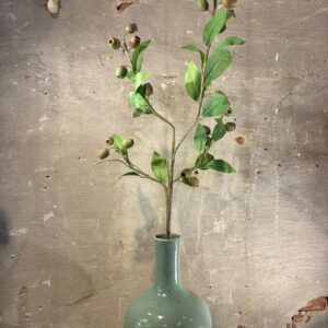 Zijden eucalyptus