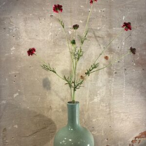 Zijden scabiosa beauty